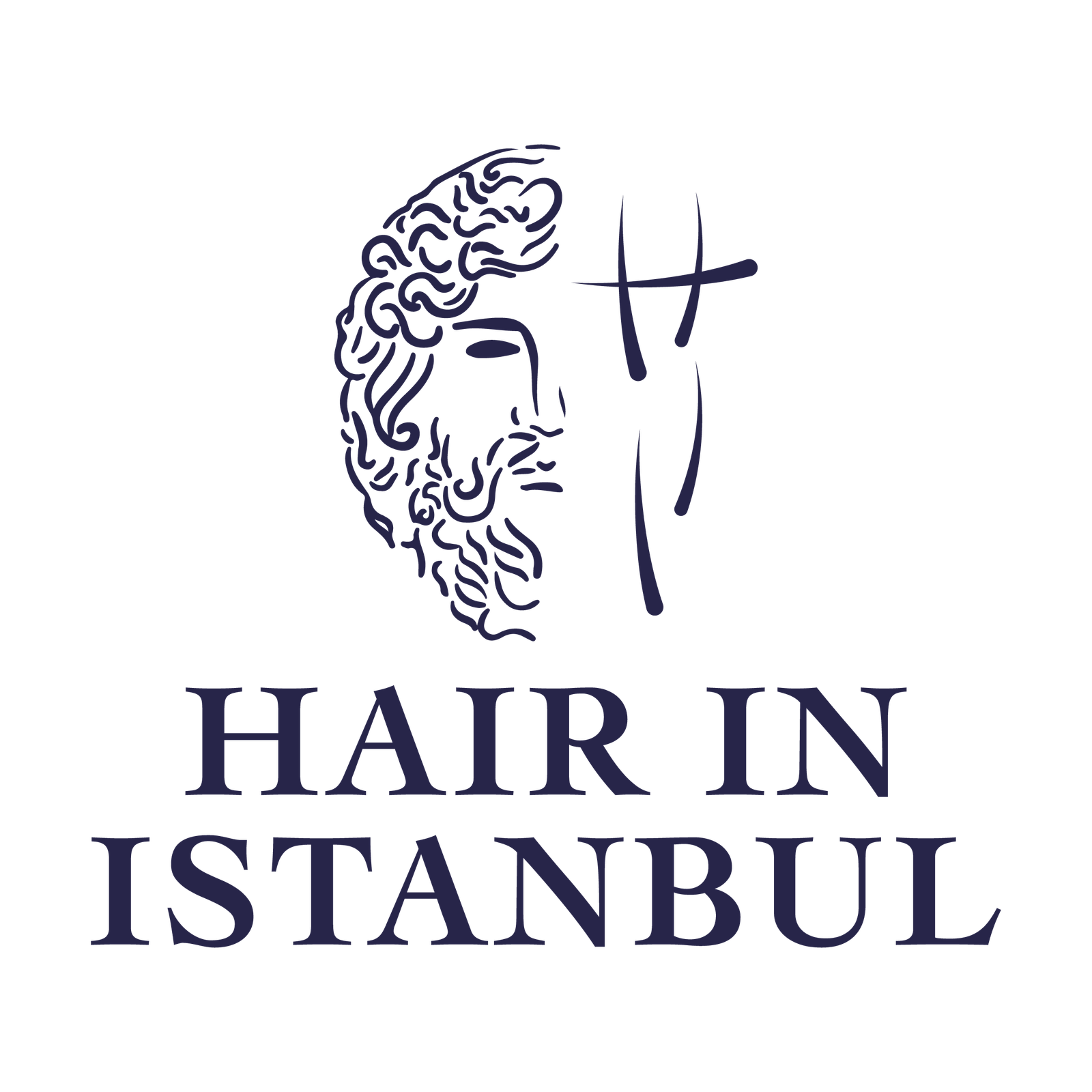 hairinistanbullogo (1)